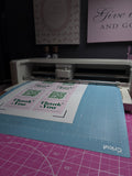 Thank You Cards